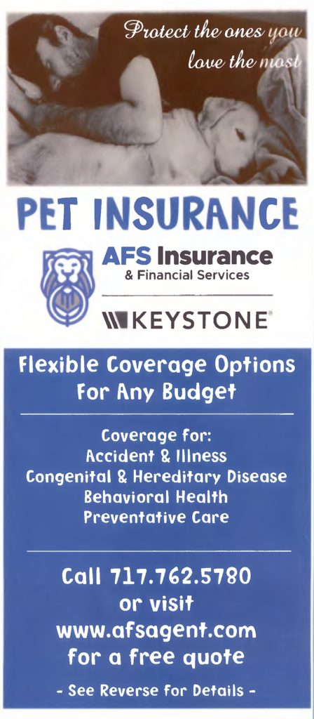 Pet Insurance Flyer Front